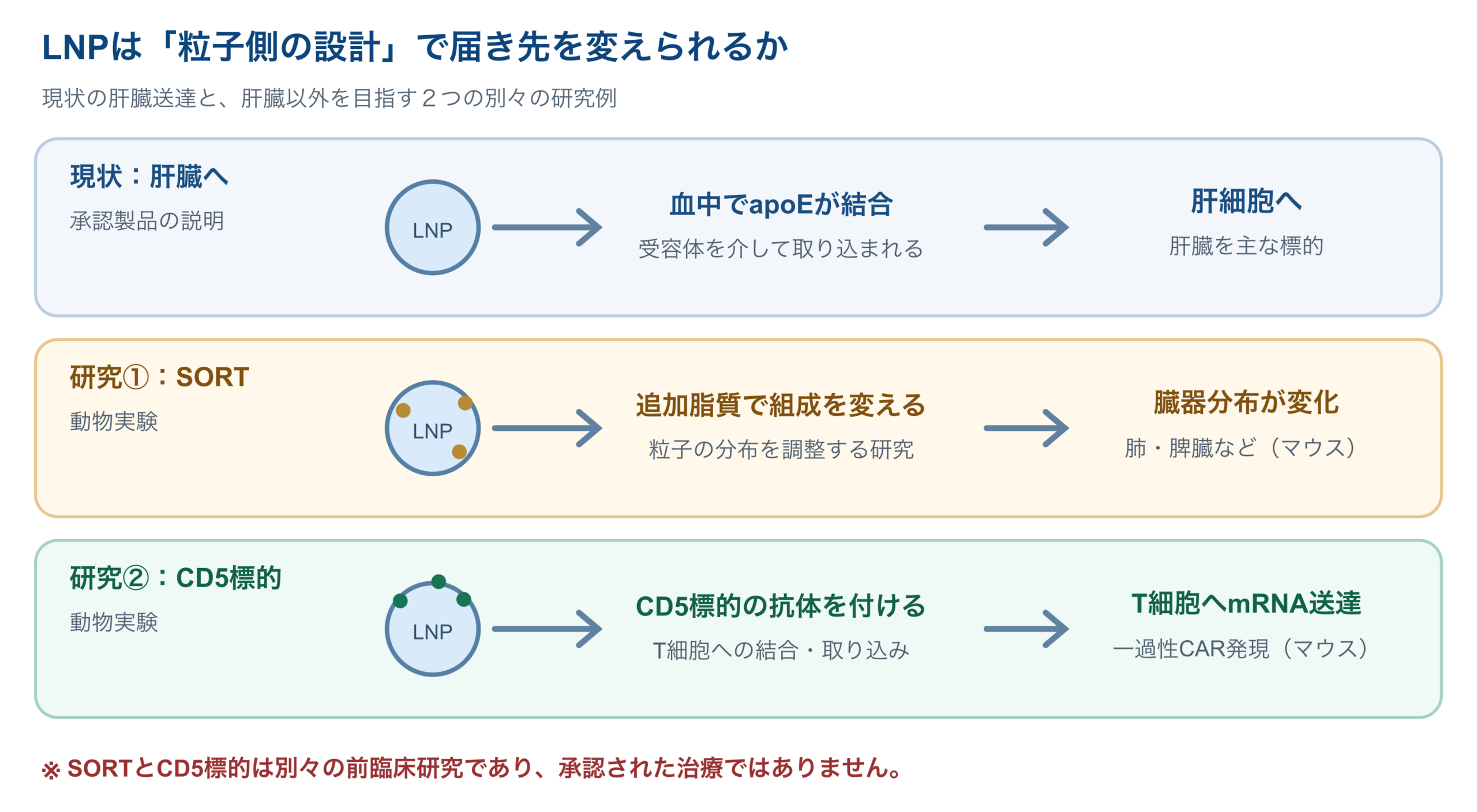 承認製品の肝臓送達と、別々の動物実験で報告されたSORT脂質追加による臓器分布変更、CD5標的LNPによるT細胞送達を比較する図